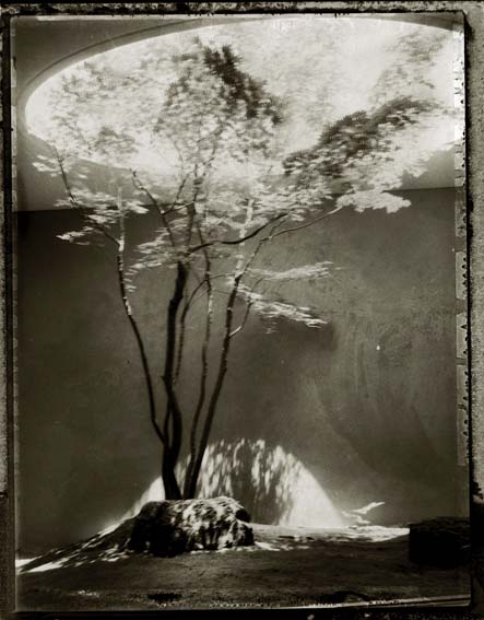 Sarah Moon 12345 展